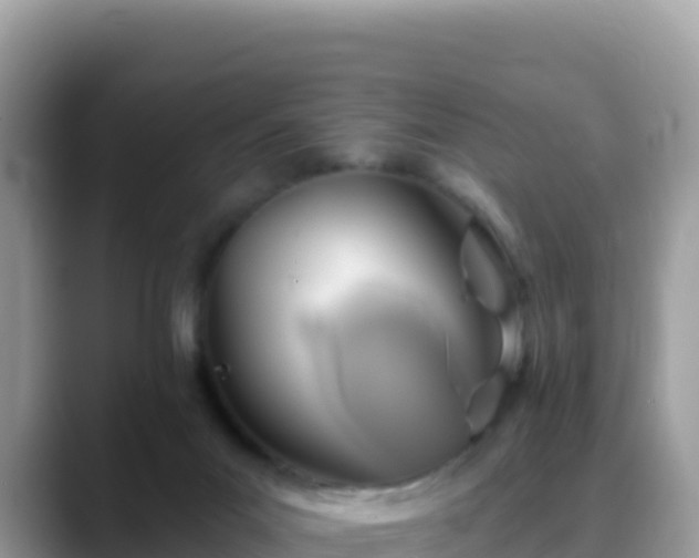 X0000088710023200706071609