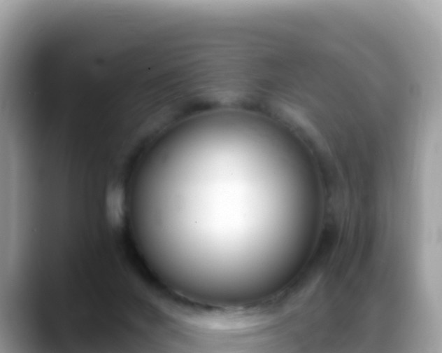 X0000088710024200706071609