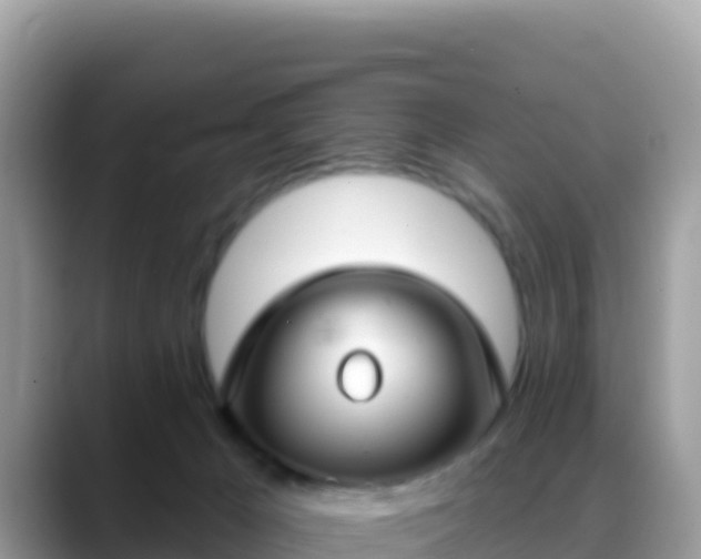 X0000088710029200706071609