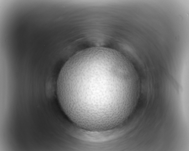 X0000088710030200706071609