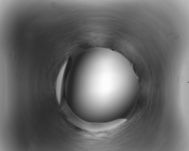 X0000088710033200706071609