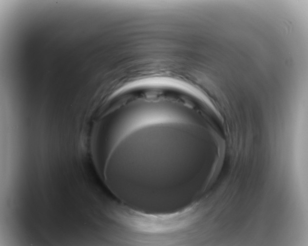 X0000088710035200706071608