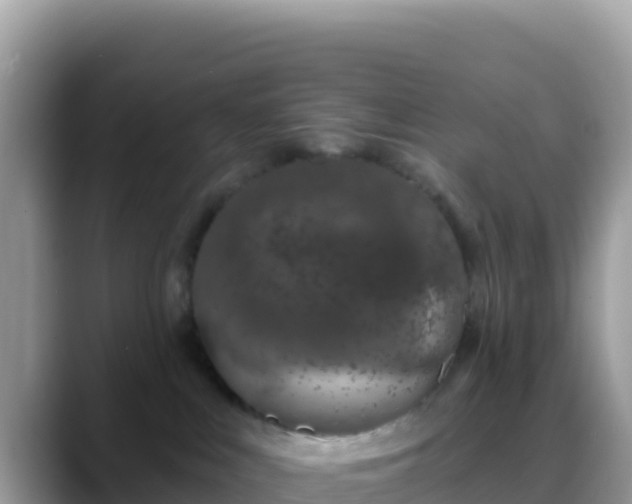 X0000088710043200706071608