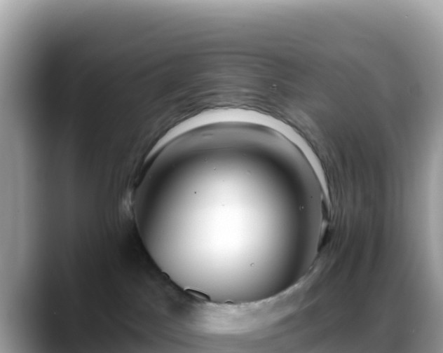 X0000088710045200706071608