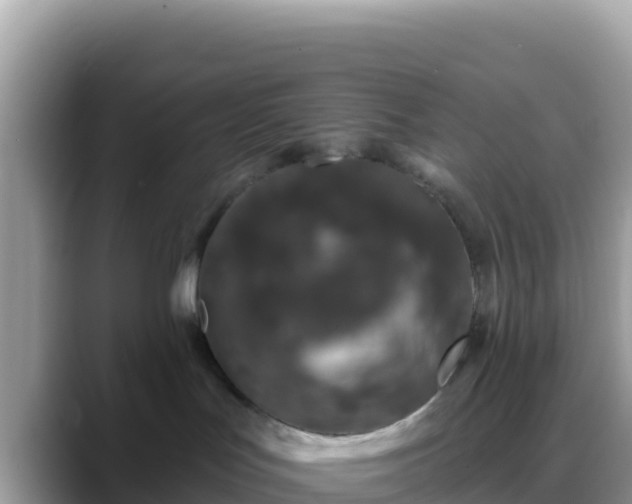 X0000088710047200706071608