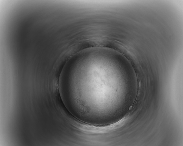 X0000088710048200706071608