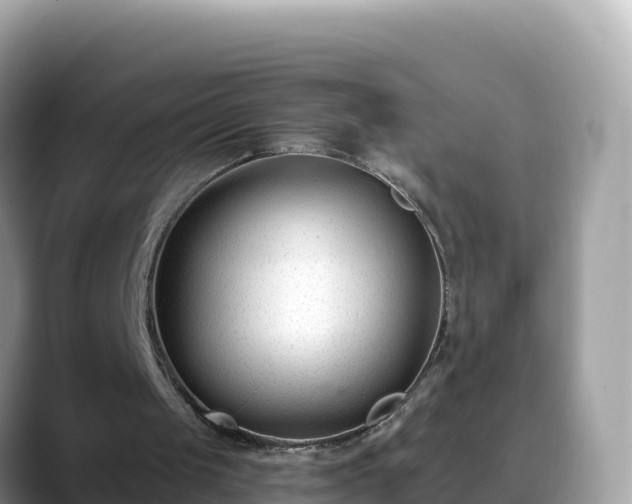 X0000088710049200706071608