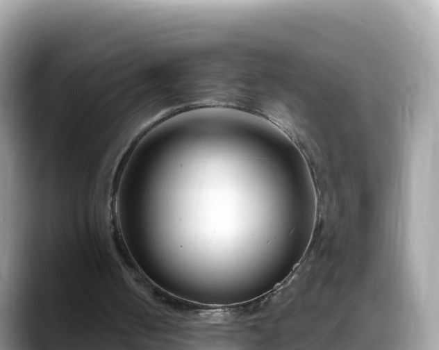 X0000088710050200706071608