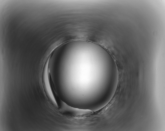 X0000088710051200706071608