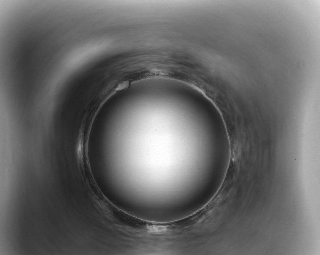 X0000088710052200706071608