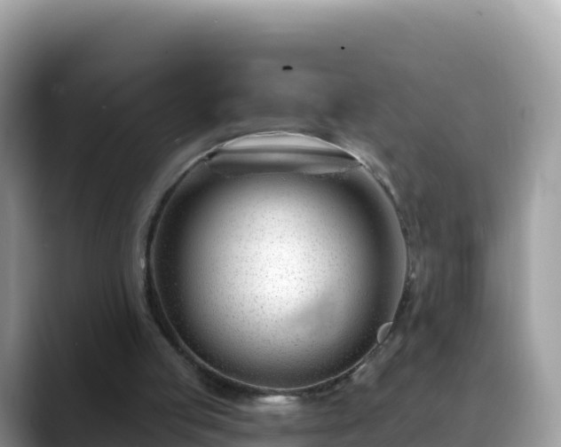 X0000088710053200706071608