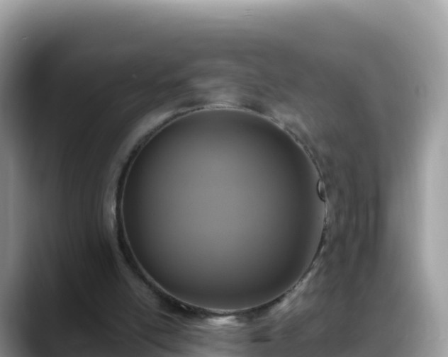 X0000088710054200706071608