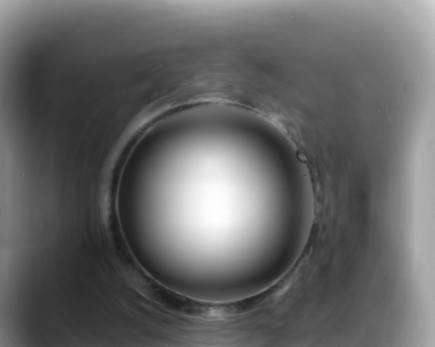 X0000088710056200706071608