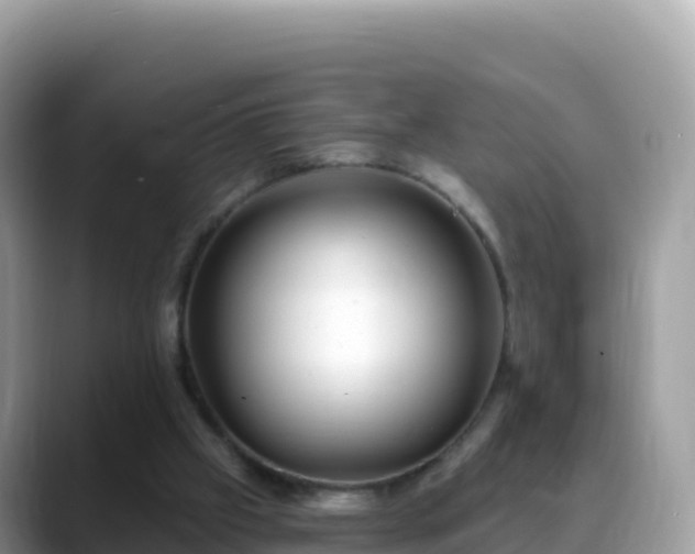 X0000088710057200706071608