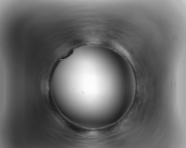 X0000088710059200706071608