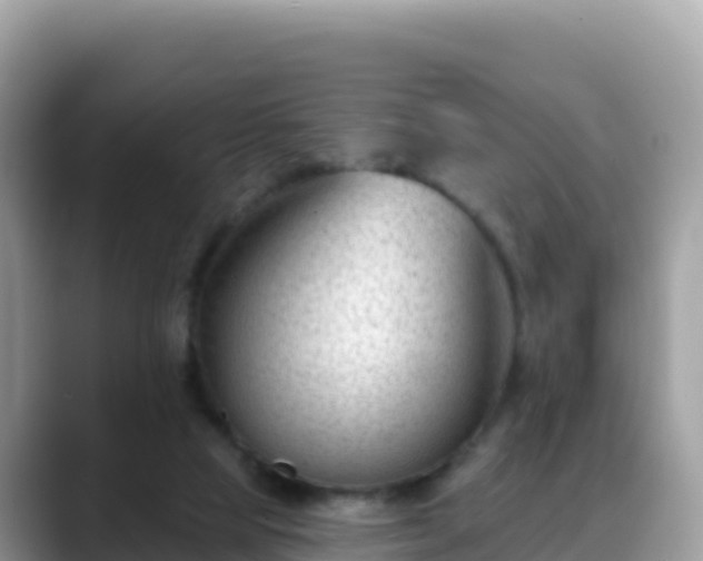 X0000088710065200706071608