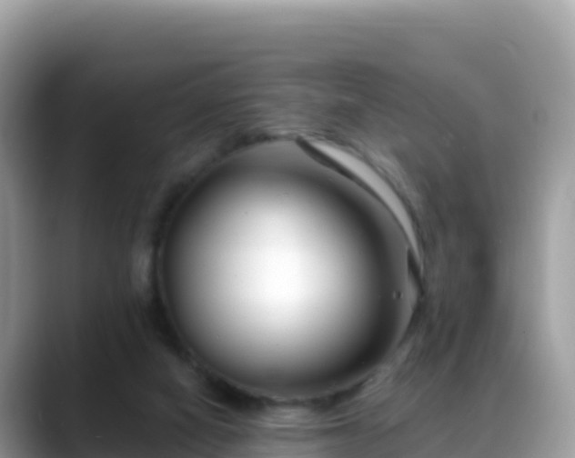 X0000088710066200706071608