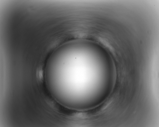 X0000088710067200706071608