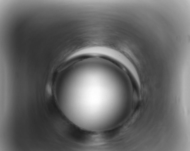 X0000088710068200706071608