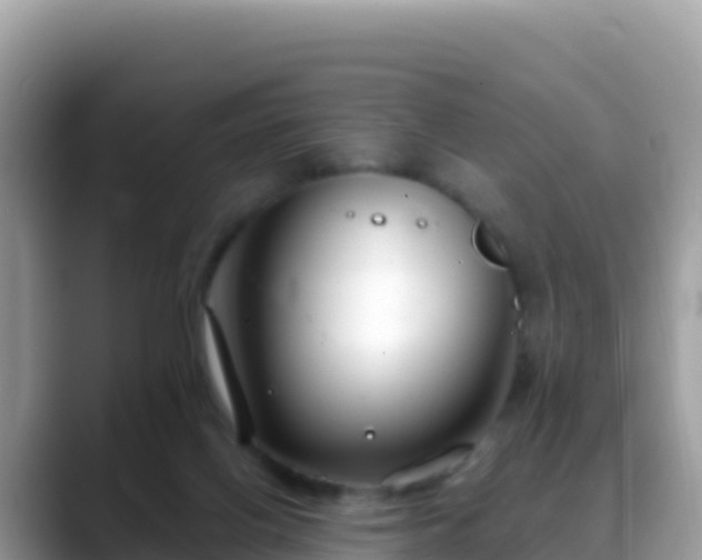 X0000088710070200706071608