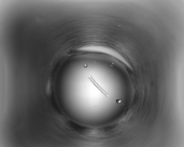 X0000088710074200706071608