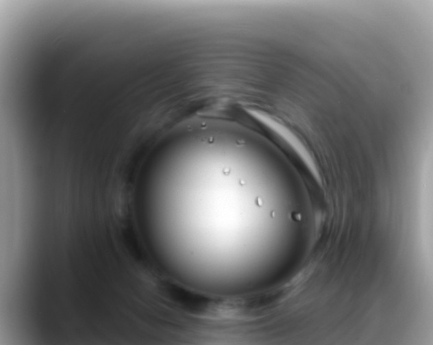 X0000088710078200706071608