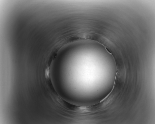 X0000088710095200706071608