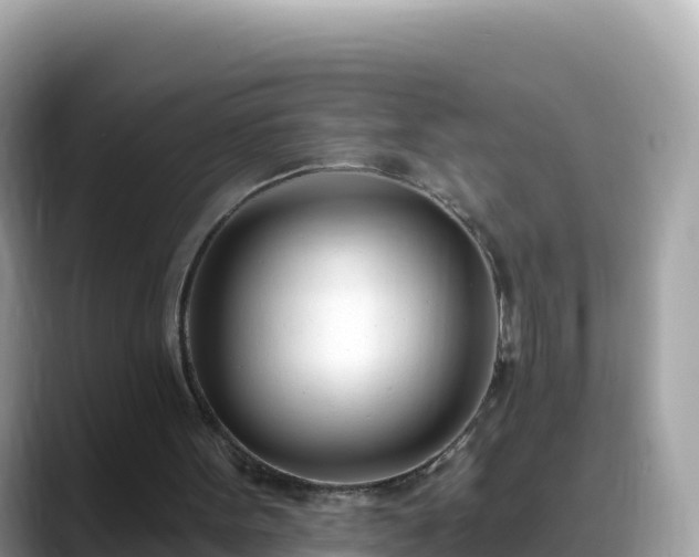 X0000088710099200706071608