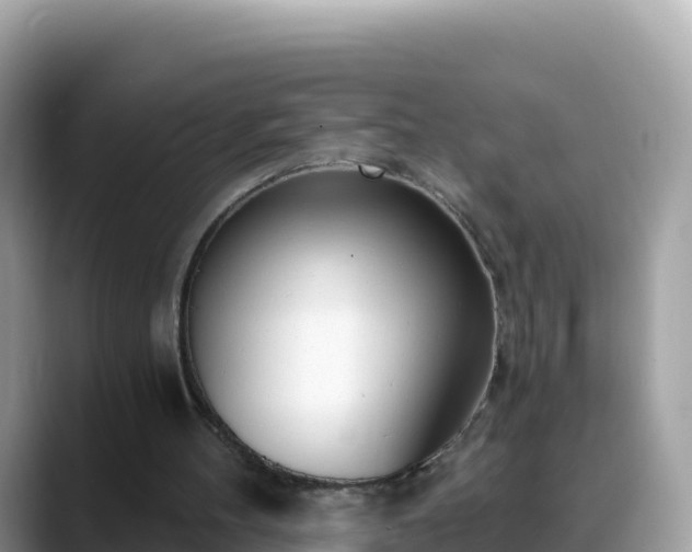 X0000088710100200706071608