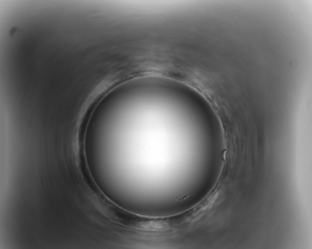 X0000088710102200706071608