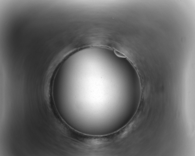 X0000088710103200706071608