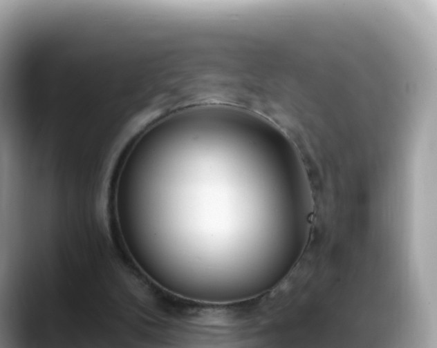 X0000088710104200706071608