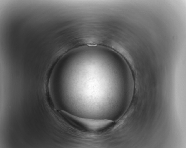 X0000088710105200706071608