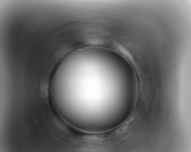 X0000088710106200706071608