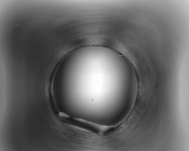 X0000088710107200706071608