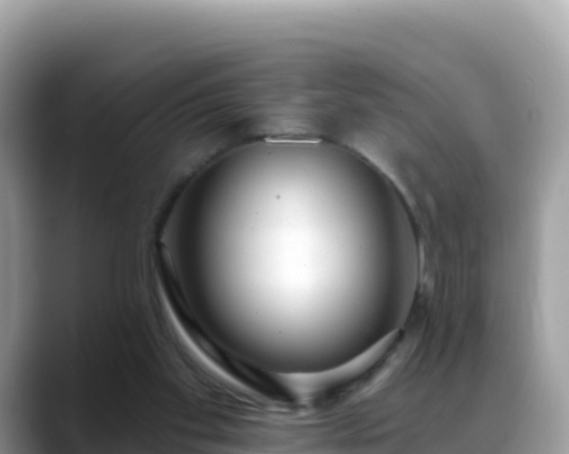 X0000088710109200706071608