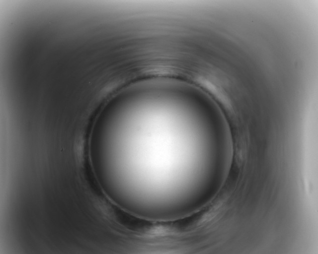 X0000088710111200706071608