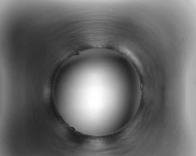 X0000088710113200706071607