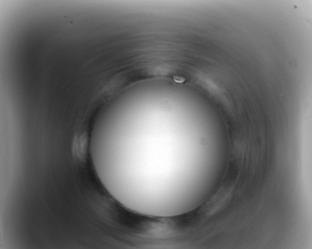 X0000088710118200706071607