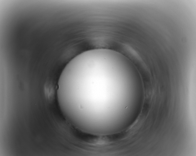 X0000088710124200706071607