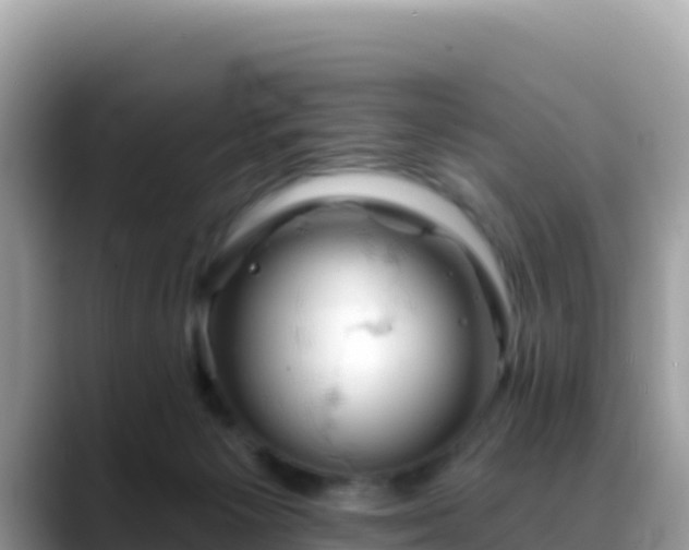 X0000088710125200706071607