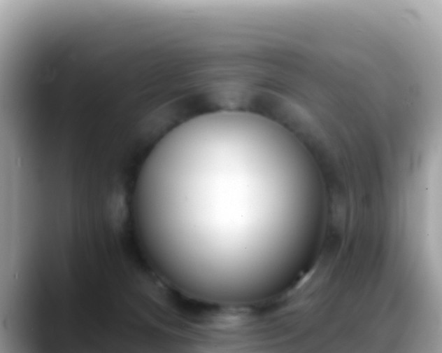 X0000088710128200706071607