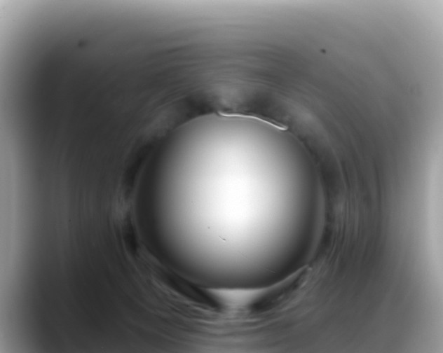 X0000088710129200706071607