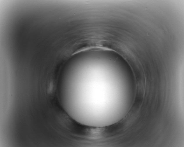 X0000088710134200706071607