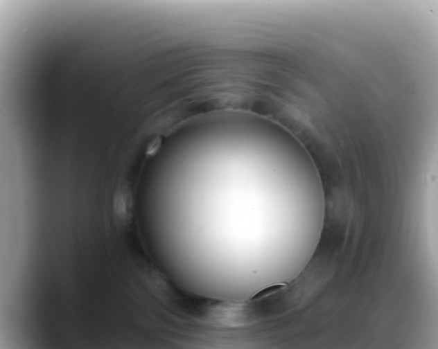 X0000088710138200706071607