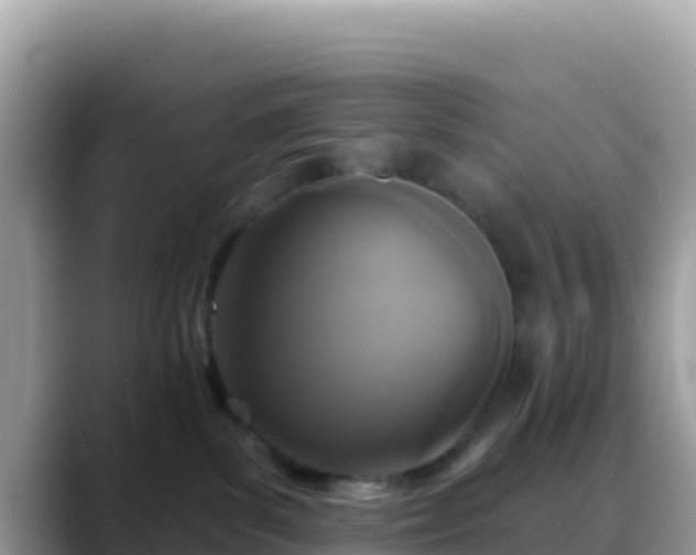 X0000088710139200706071607