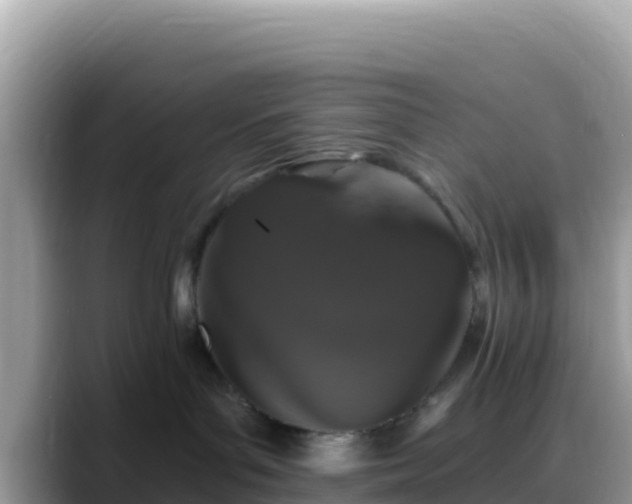 X0000088710143200706071607