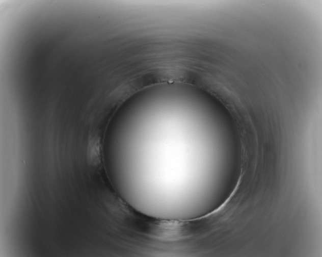 X0000088710144200706071607