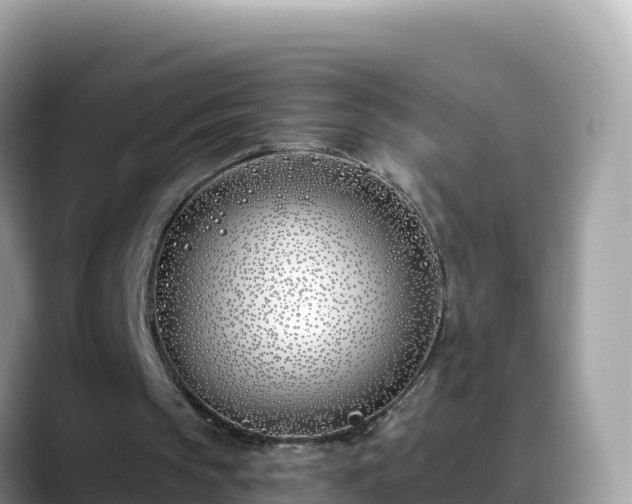 X0000088710145200706071606