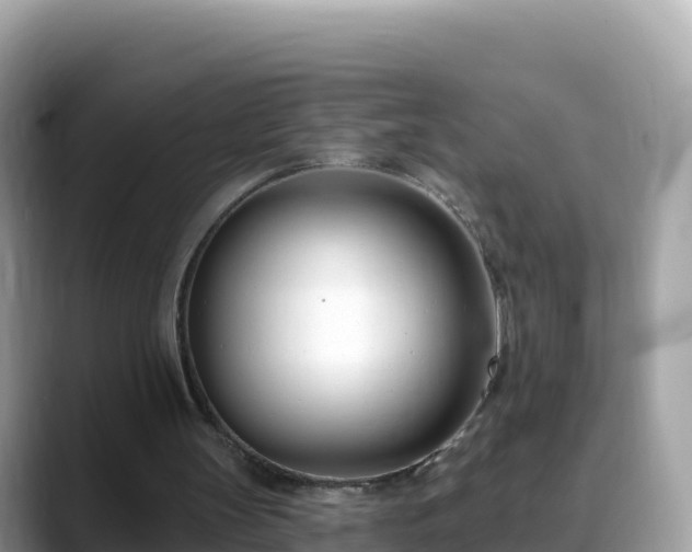 X0000088710147200706071606